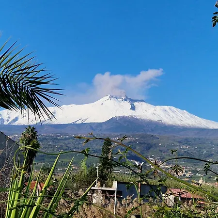 Casa Di Domenico アパート *